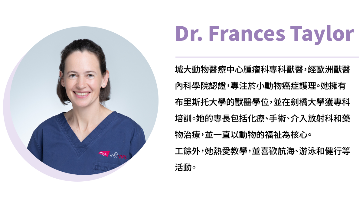 專欄_作者簡介_Frances Taylor.png