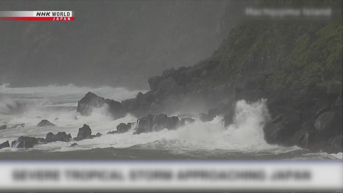 Picture_J.JP.TYPHOON-1830_002.jpg