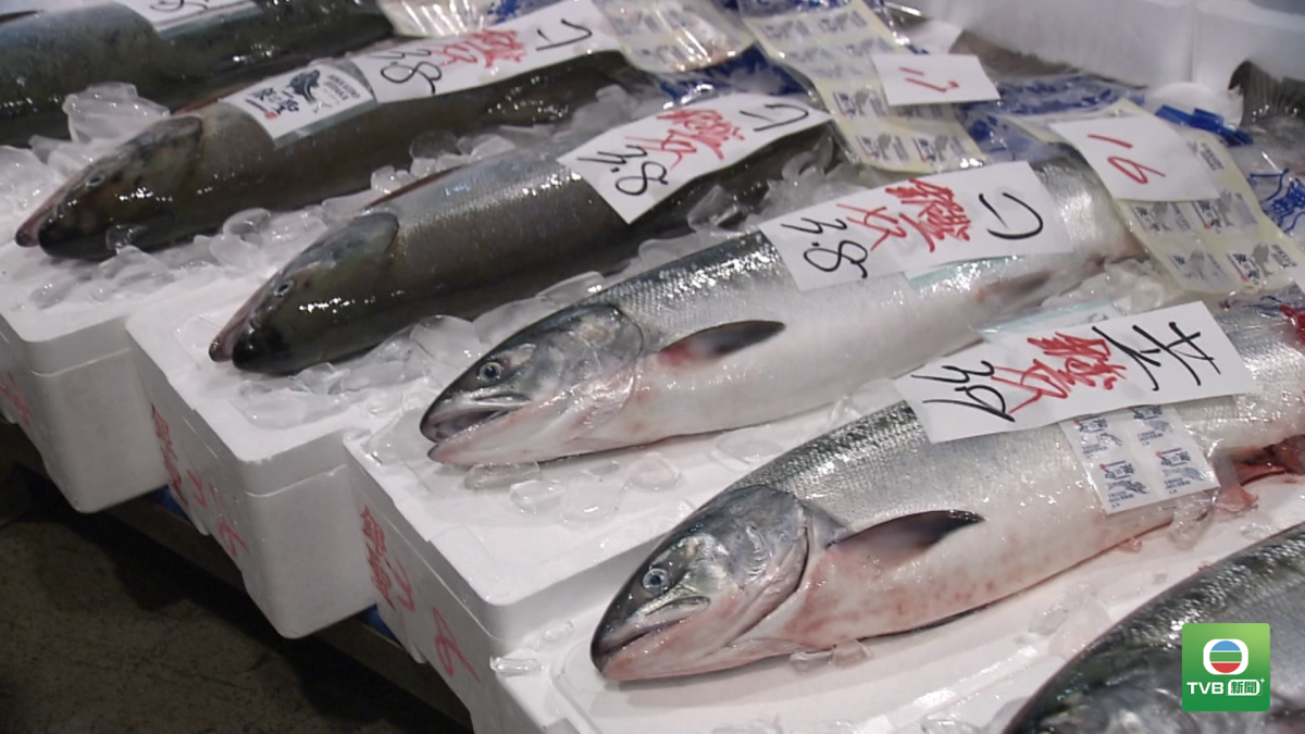 JAPAN.SALMON.01