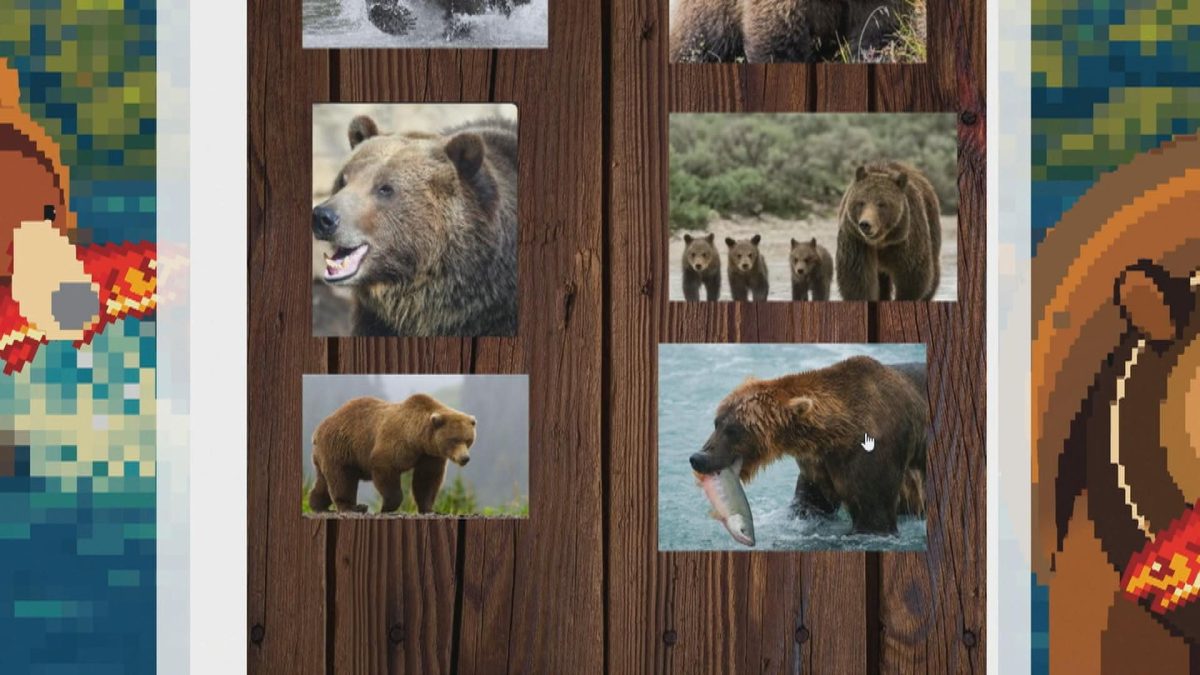 Picture_20260928_QQ.FATBEAR.CLEAN_005.jpg