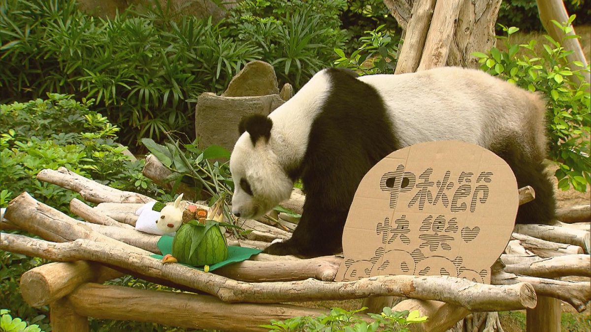 Picture_J.PANDA.MV 1830_003.jpg