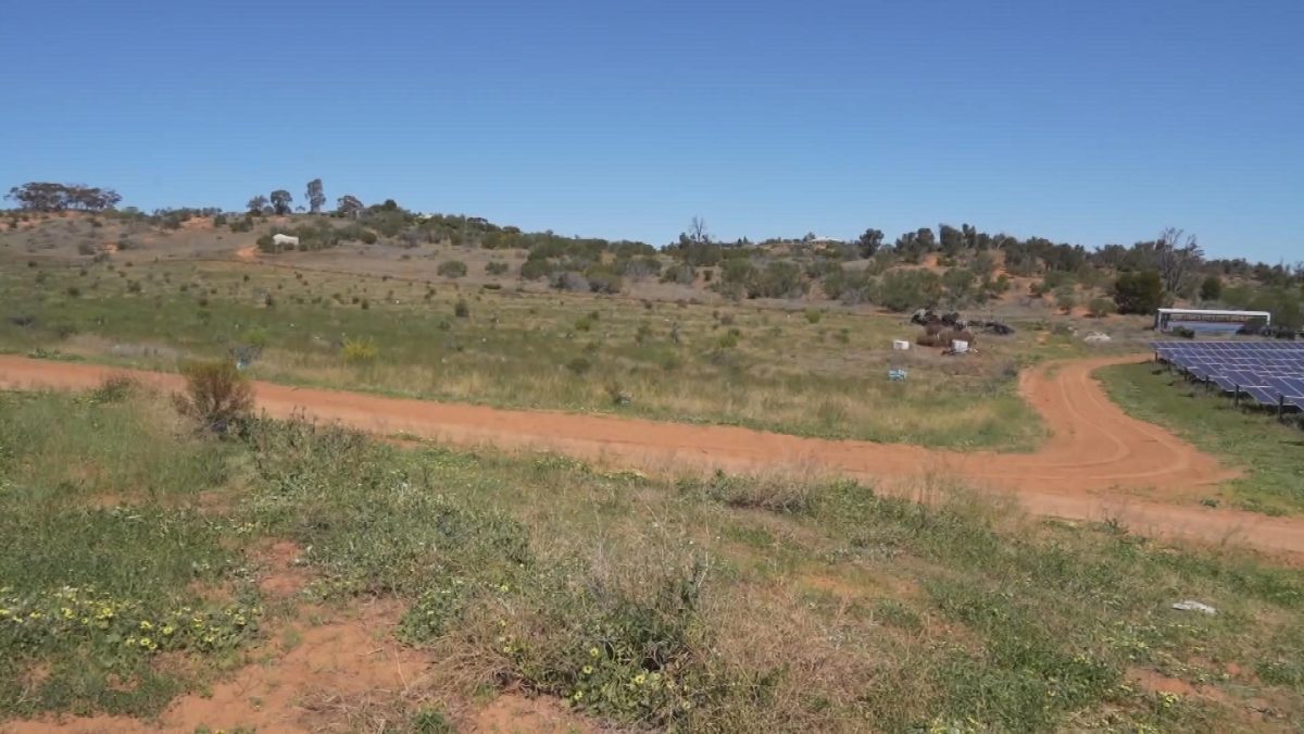 Picture_J.AUS.VEGETATION 1700_002.jpg