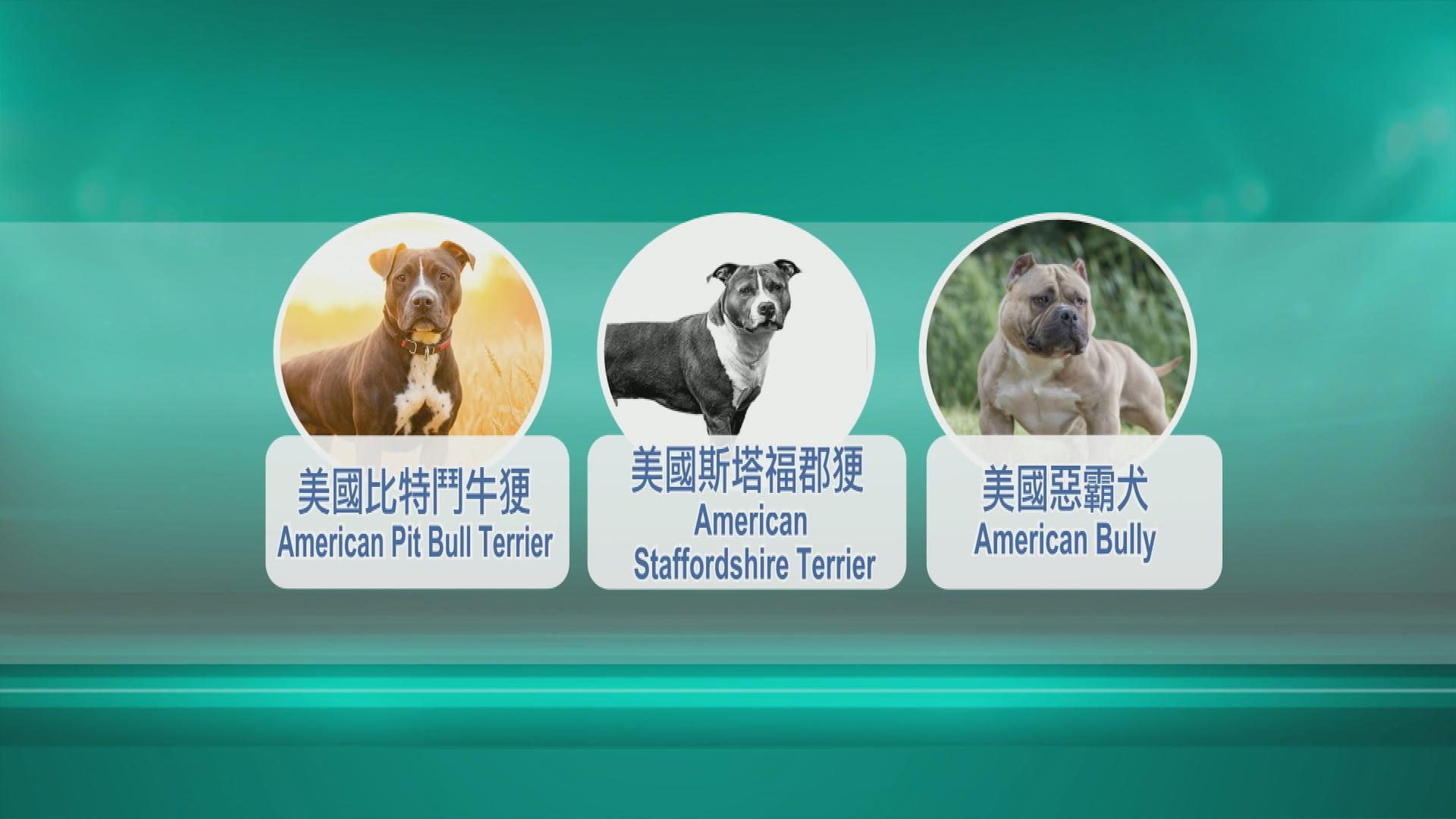 QQ.CLASSIFICATION 20260904.jpg