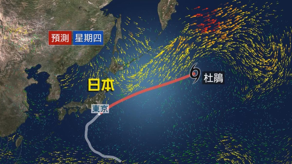 Picture_CC.J.JP.TYPHOON-1830_006.jpg