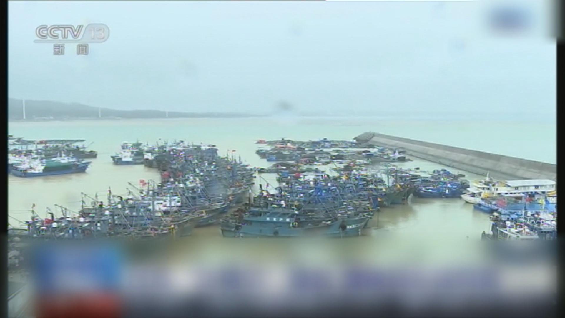 Picture_J.CN.TYPHOON 1130.jpg