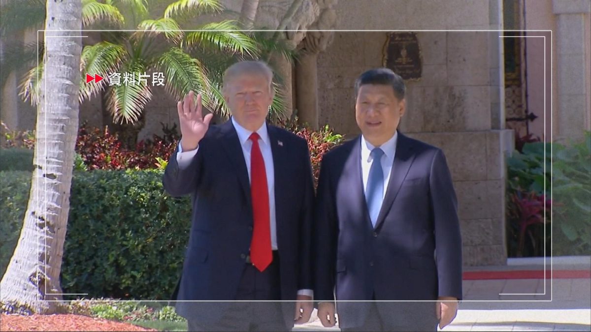 Picture_J.TRUMP.XI-2300_001.jpg