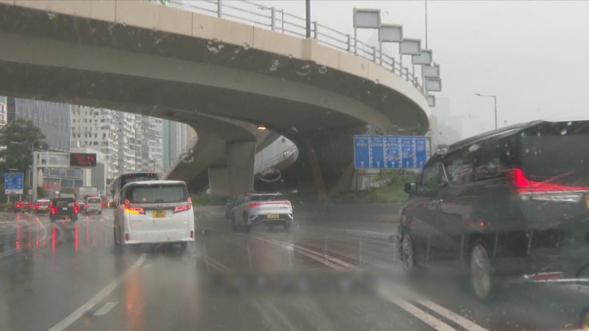 Picture_CC.J.HKO 1300_002.jpg