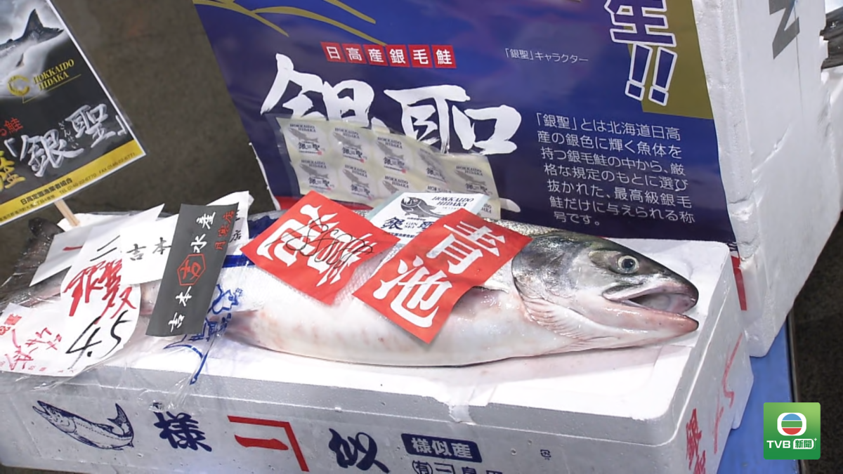 JAPAN.SALMON.02
