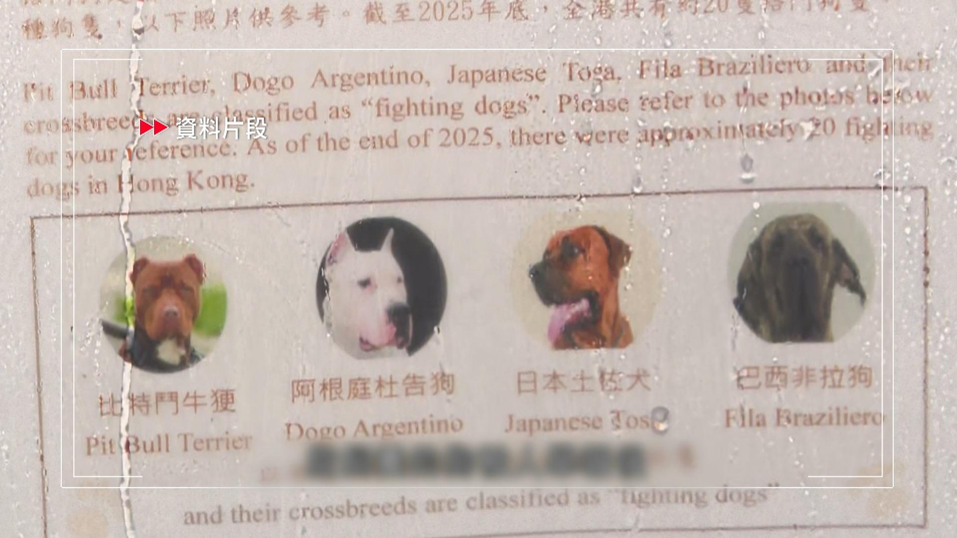 Picture_J.DOG.FOLO 1830.jpg