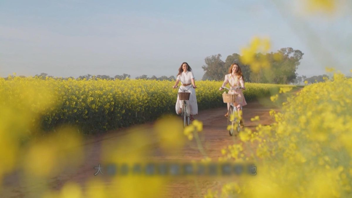 Picture_J.AUS.CANOLA 1700_002.jpg