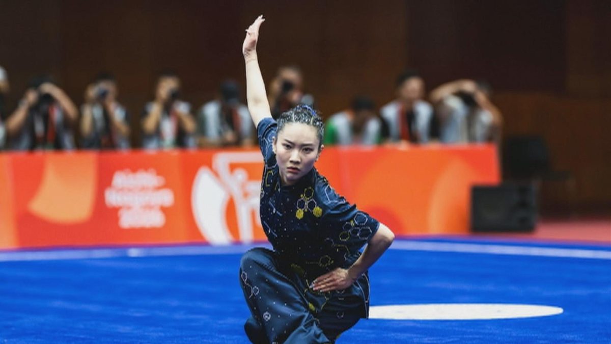 Picture_JS.AG.WUSHU-1500.jpg