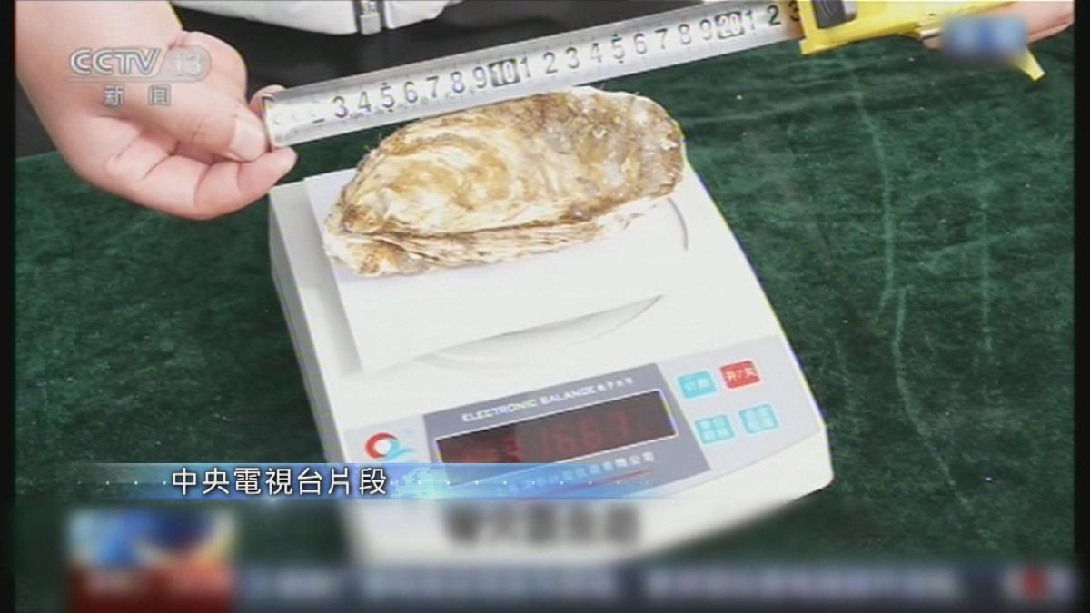 Picture_J.CN.SEAFOOD 2000_001.jpg