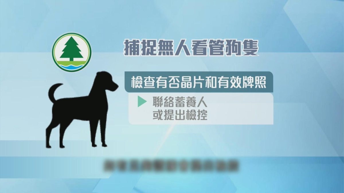 Picture_J.DOG 1830.jpg