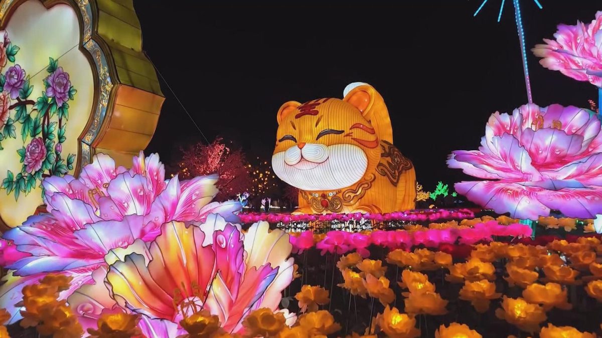Picture_J.SC.LANTERN.MTV.1004-1012_003.jpg