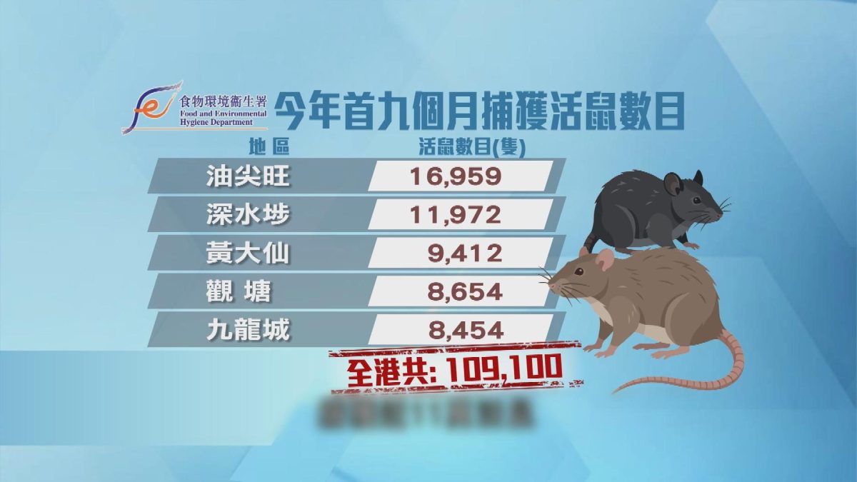 Picture_J.RAT 2000_001.jpg