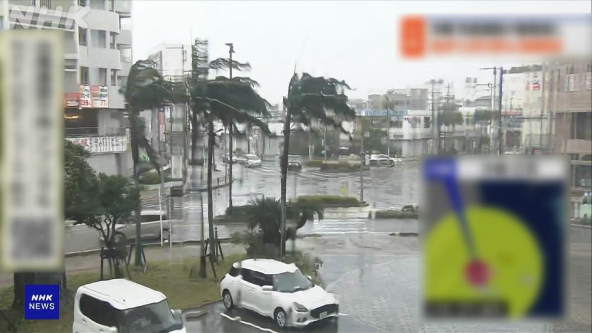 Picture_J.JP.TYPHOON 1300 NHK.jpg