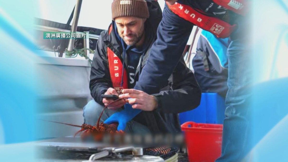 Picture_J.AUS.LOBSTER 1700_001.jpg