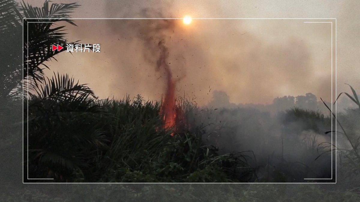 Picture_J.INDO.HAZE-1200_001.jpg