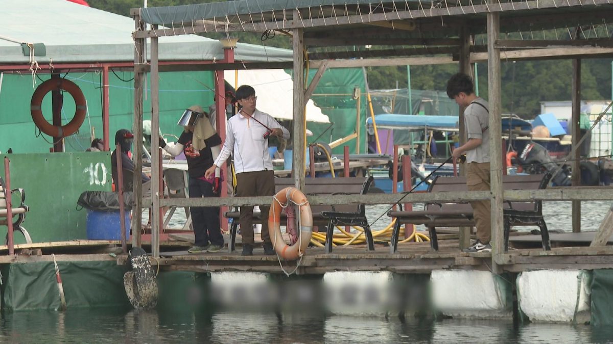 Picture_J.SP.FISH 1830_001.jpg