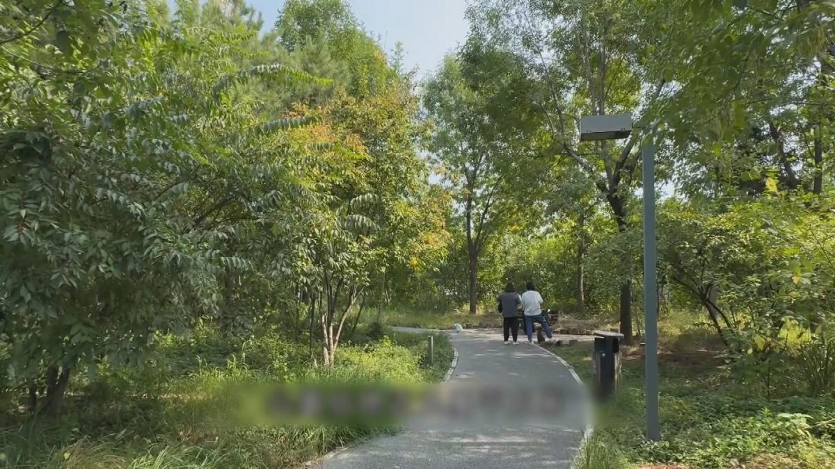 Picture_J.BJ.GREEN.PARK HOLD.jpg
