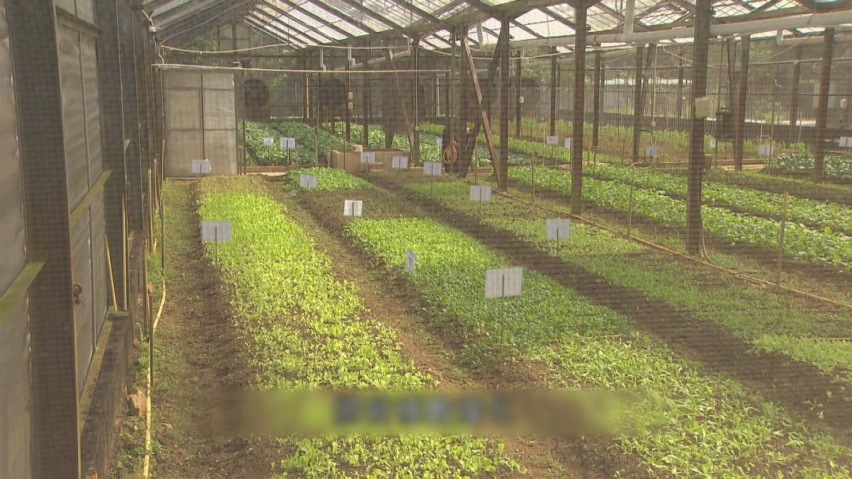 Picture_J.FARM 1830._001.jpg