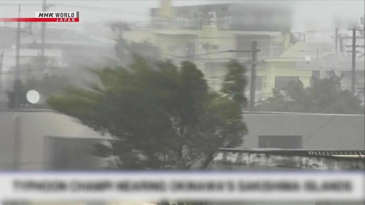 Picture_J.JP.TYPHOON-1200_001.jpg